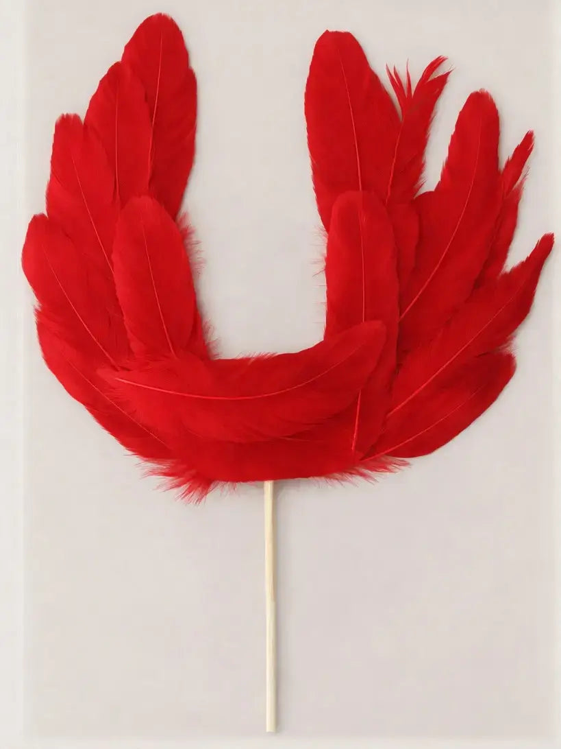 Red feather Cake topper on a Plain background