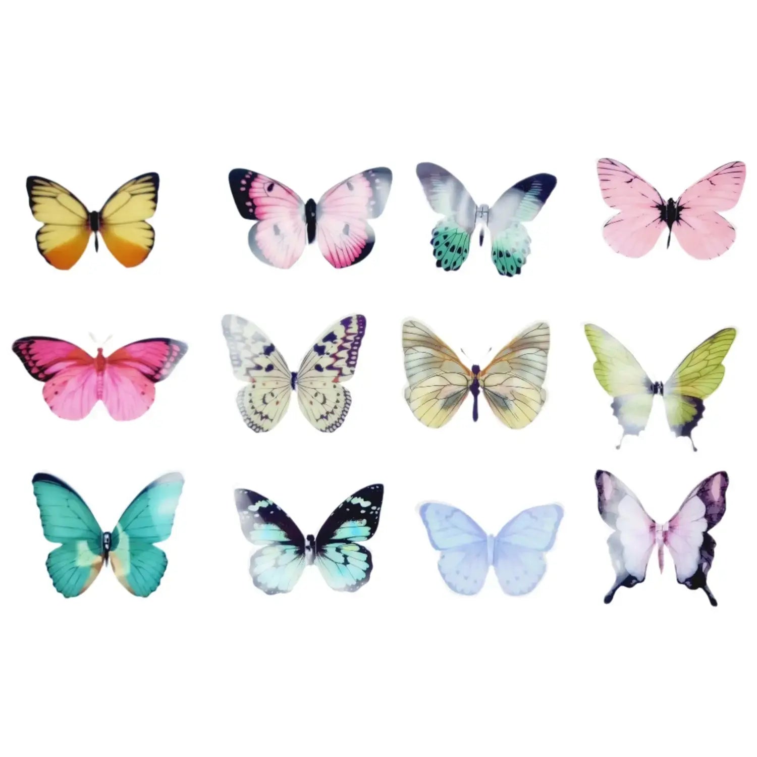 Collection of colorful butterflies on a white background