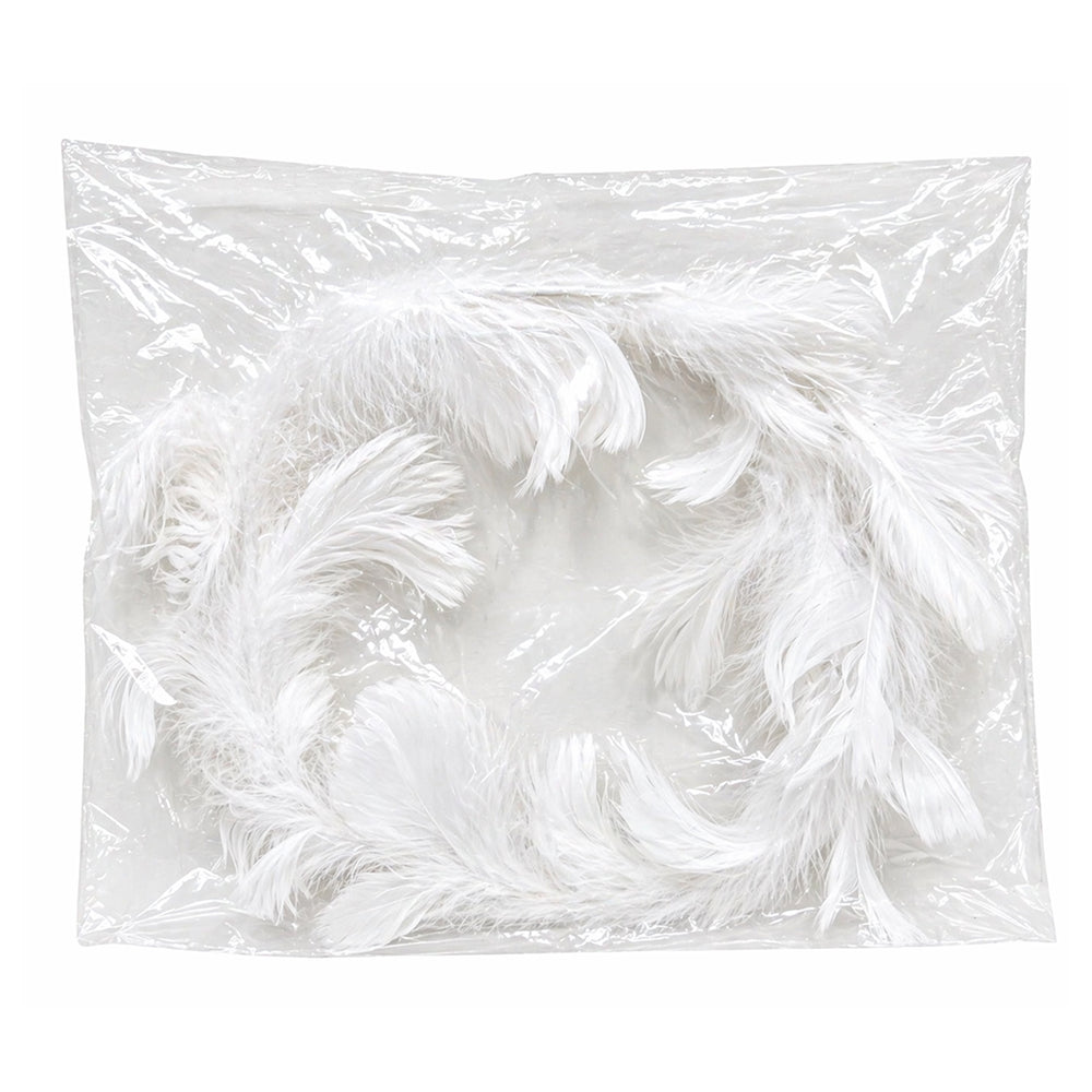 White feathers in a clear plastic bag on a white background