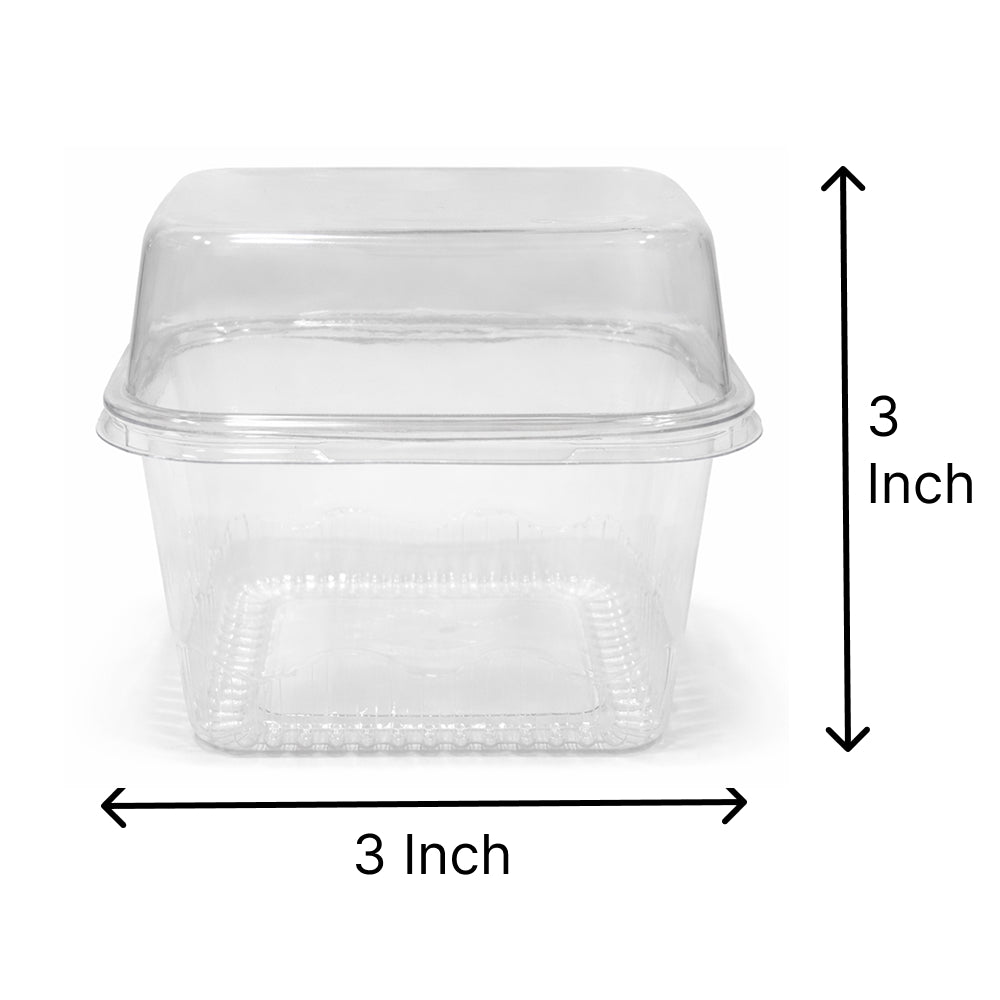 3 Inch Square PVC Container with Lid 10 Pieces Pack – Clear Mini Food Box CL090
