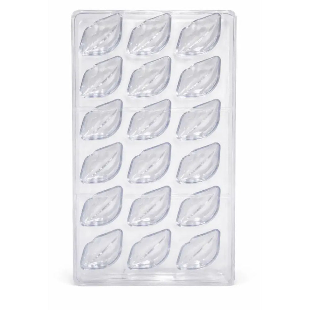 Clear polycarbonate mold with leaf-shaped cavities on a white background