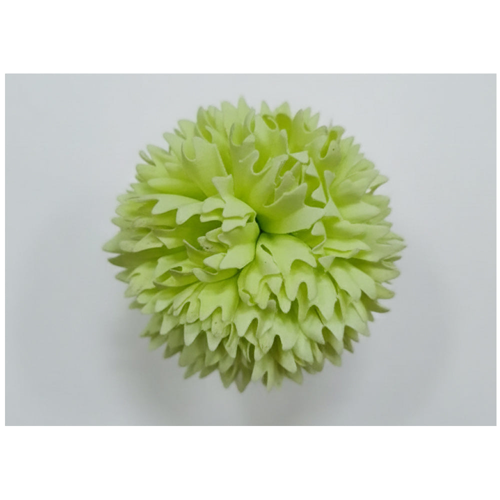Light green decorative pom-pom on a white background