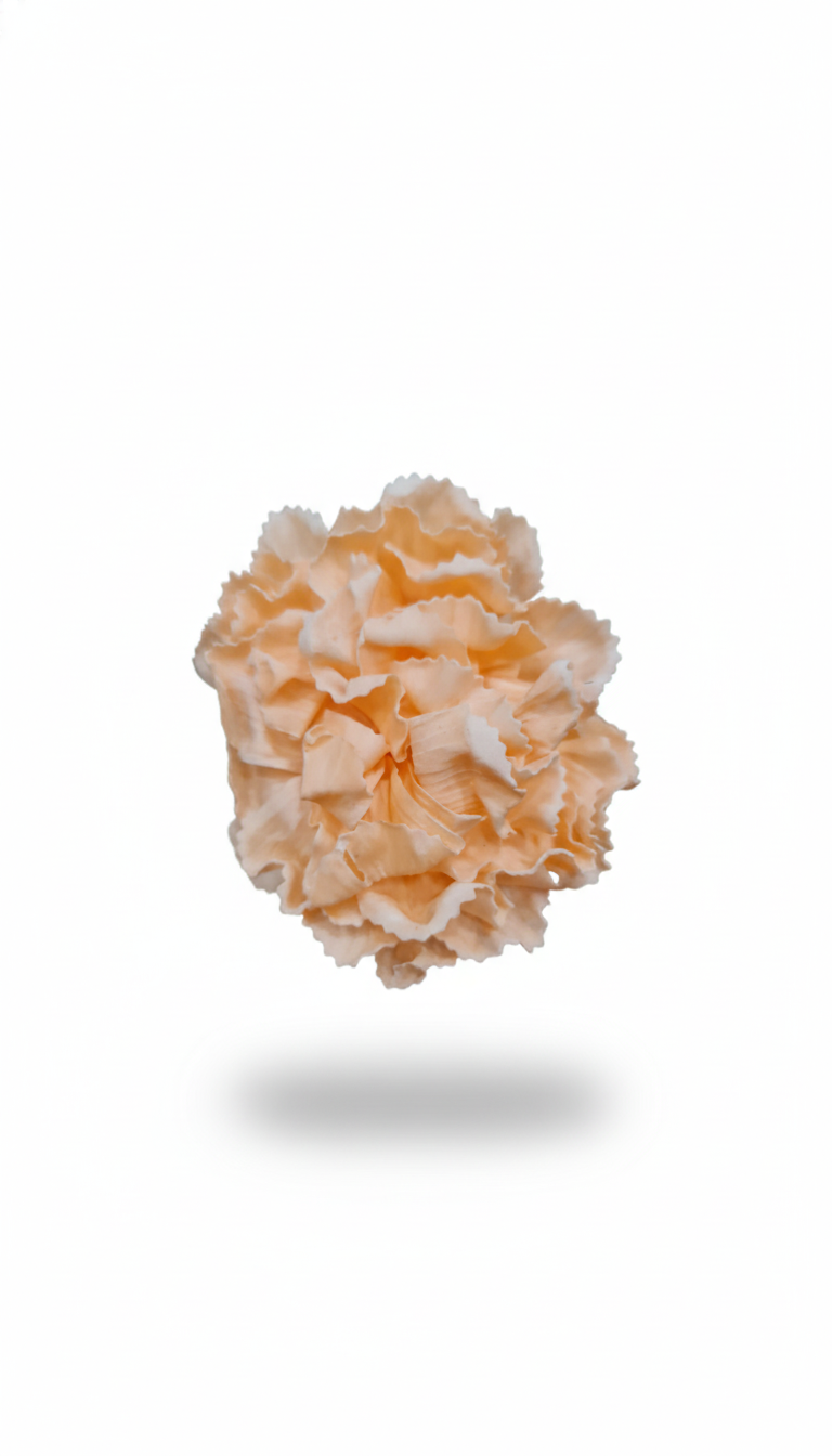 Premium Fluffy Artificial Flower Heads - (Pack Of 10) AF012