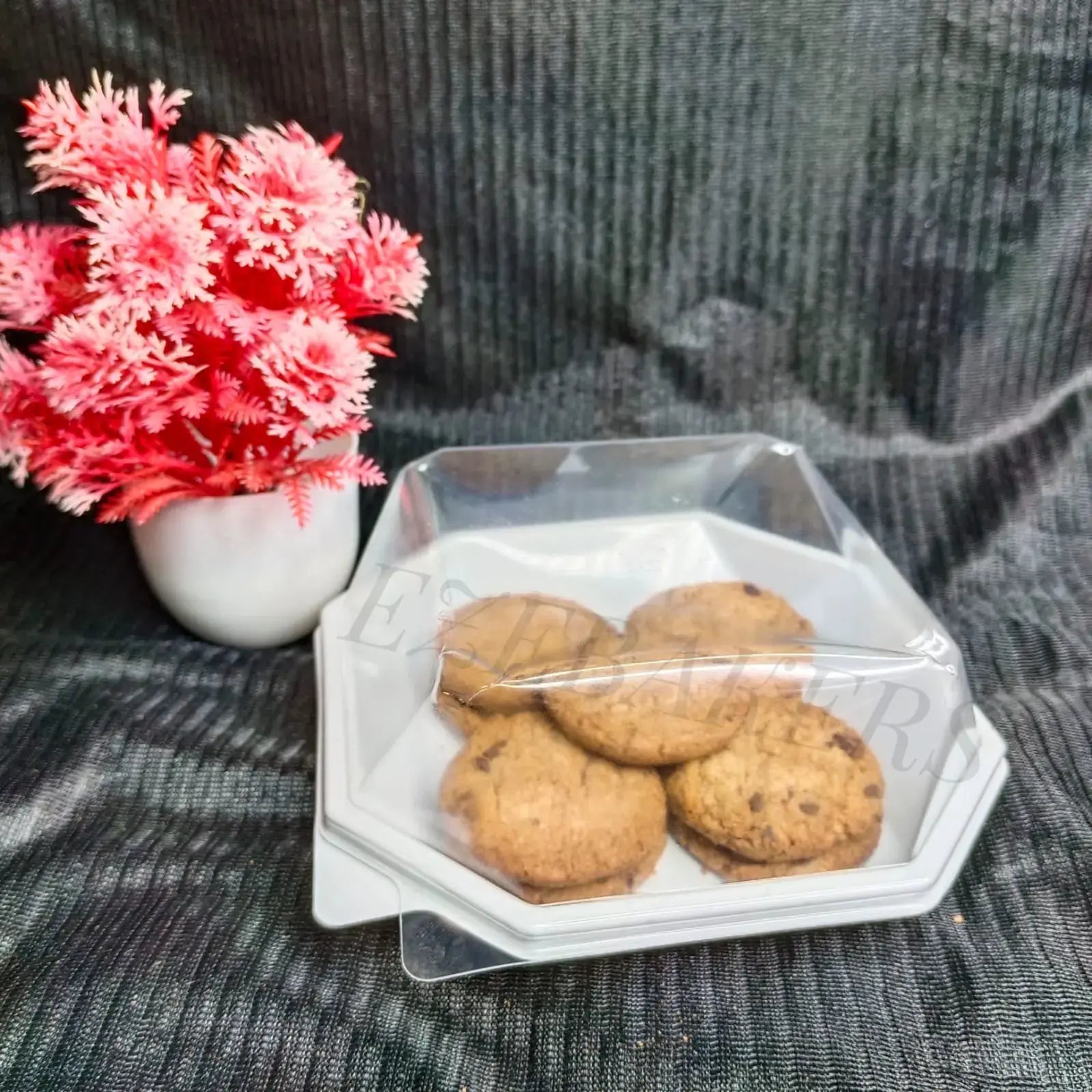Pastry cake Plastic Containers 10 Piece CL039
