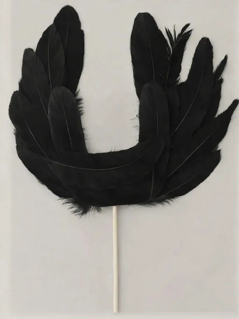 Black feather Cake Topper on a Plain background