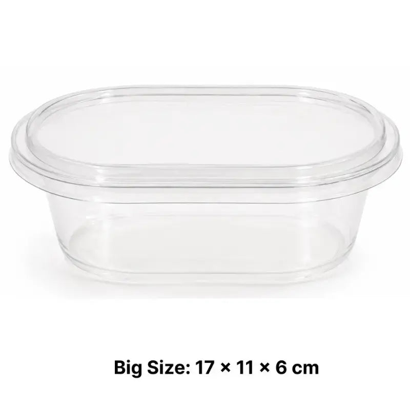 CL094 Big Rectangular PVC Dessert Container with Lid Pack of 10